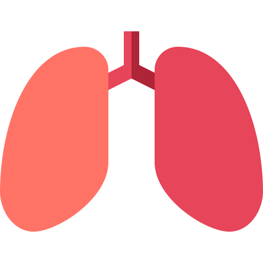Lungs icon