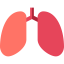 Lungs icon 64x64