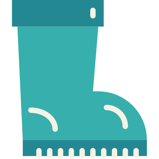 Boots icon