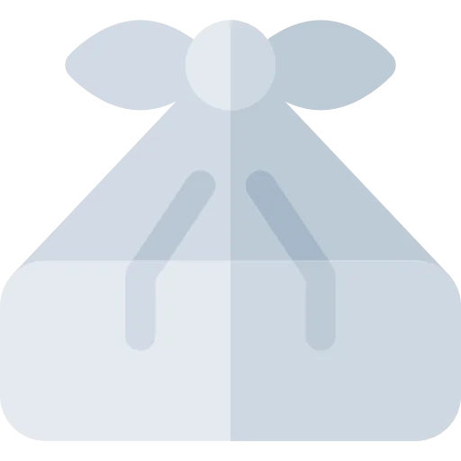 Packing icon