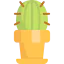 Cactus icon 64x64