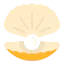 Oyster іконка 64x64