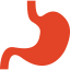 Stomach icon 64x64