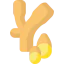 Ginger icon 64x64