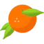 Orange icon 64x64