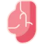 Meat icon 64x64