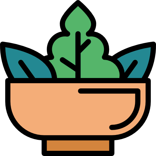 Salad icon