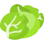 Cabbage icon 64x64