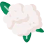 Cauliflower icon 64x64