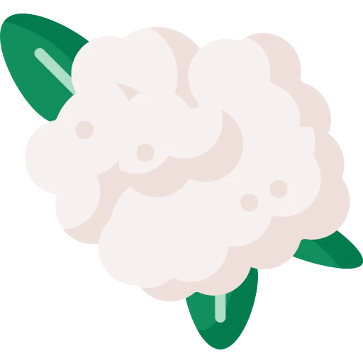 Cauliflower icon