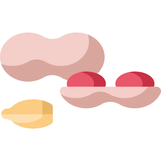 Peanuts icon