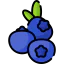 Blueberries icon 64x64