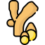 Ginger icon 64x64