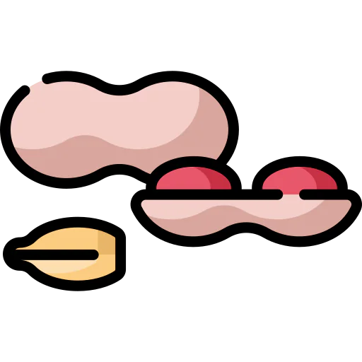Peanuts icon