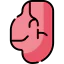 Meat icon 64x64