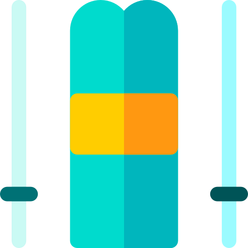 Skii icon
