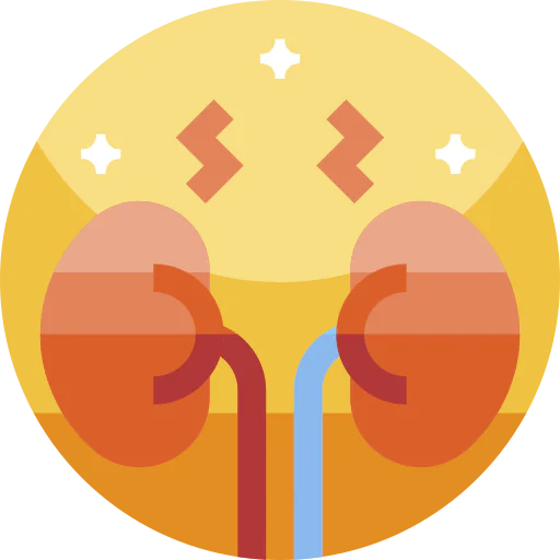Kidney icon
