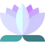 Lotus flower icon 64x64