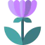 Flower icon 64x64
