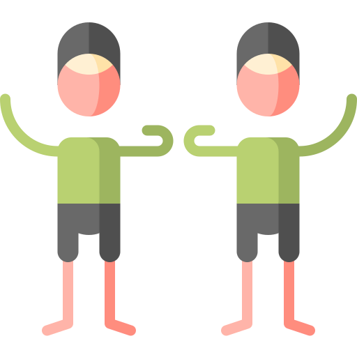 Twins icon