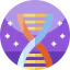 Dna structure icon 64x64