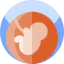 Fetus icon 64x64
