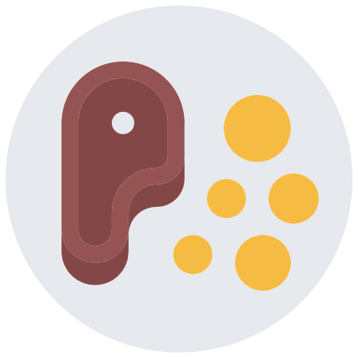 Steak icon