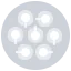 Dumpling icon 64x64