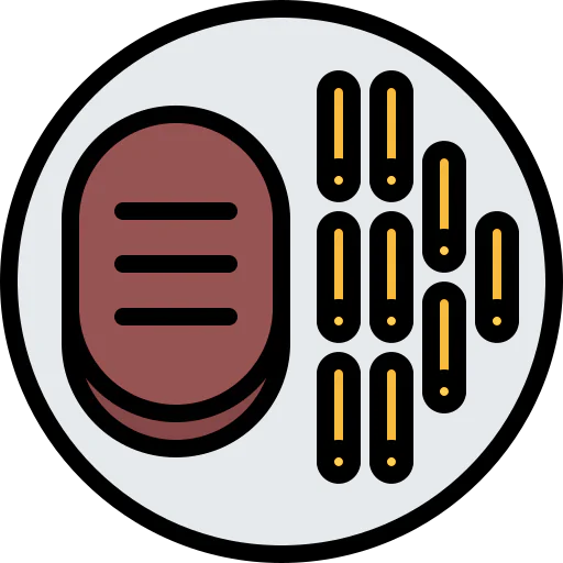 Steak icon