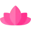 Lotus icon 64x64