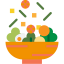 Salad icon 64x64