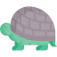 Turtle icon 64x64