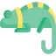 Chameleon icon 64x64