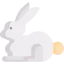 Rabbit icon 64x64