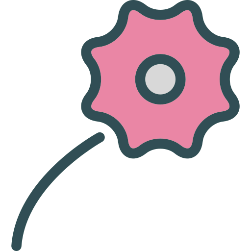 Closeup icon