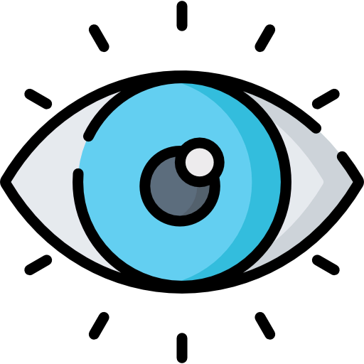 Visibility icon