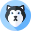 Siberian husky icon 64x64