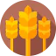 Wheat icon 64x64