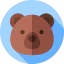 Bear icon 64x64