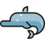 Dolphin icon 64x64