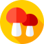 Mushroom icon 64x64
