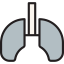 Lungs icon 64x64