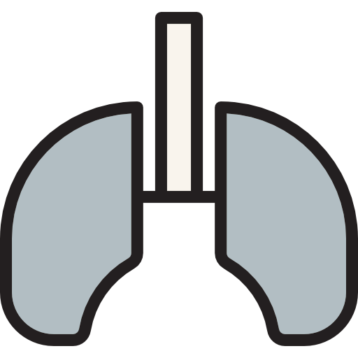 Lungs icon
