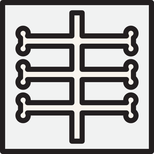X ray icon
