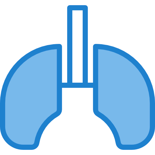 Lungs icon