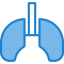 Lungs icon 64x64