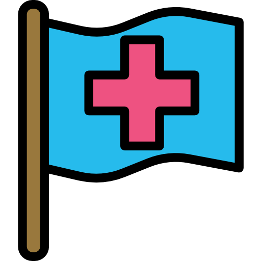 Flag icon