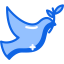 Dove icon 64x64