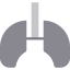 Lungs icon 64x64