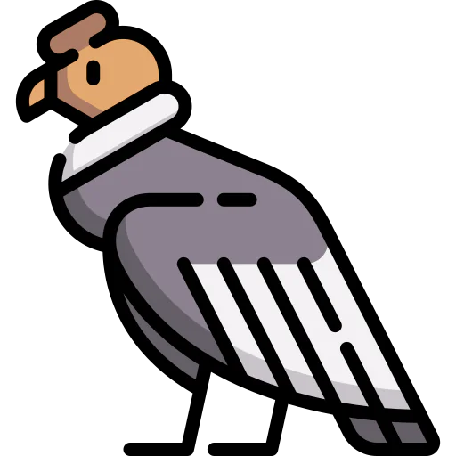 Condor icon